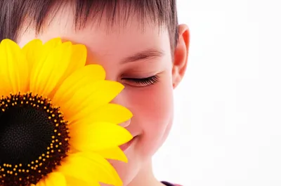 Illustration sniffing