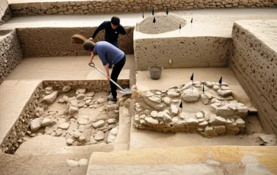 Illustration backfills - Image 1