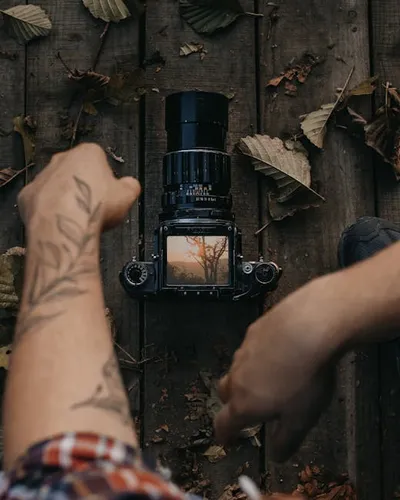 Illustration capturing - Image 2