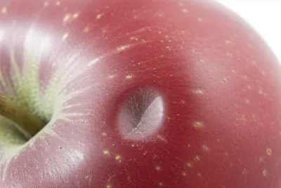 Illustration dented - Image 1