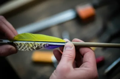 Illustration fletching