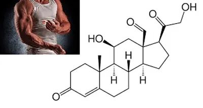 Illustration steroid - Image 2