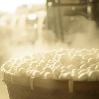 Illustration stifles - Image 1