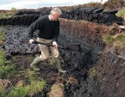 Illustration peat - Image 2