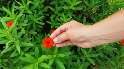 Illustration steals - Image 1