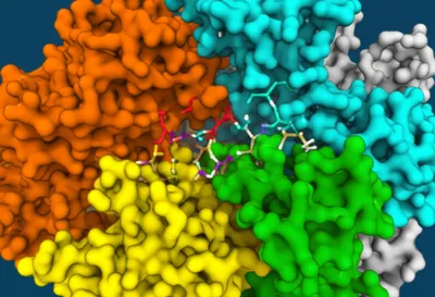 Illustration compartment - Image 1