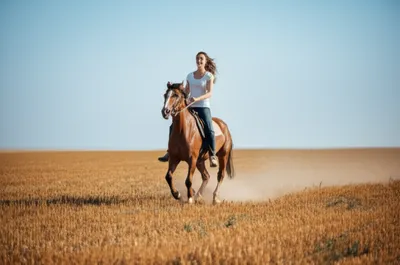 Illustration road - Image 1