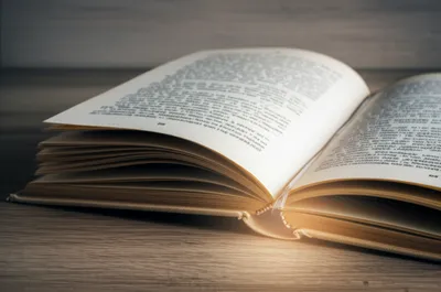 Illustration foot - Image 1