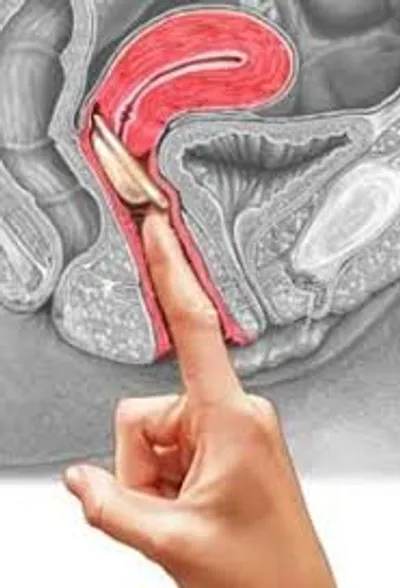 Illustration cap - Image 5