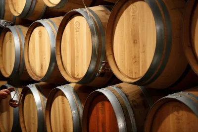 Illustration soleras - Image 1