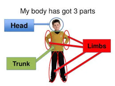 Illustration trunk - Image 2