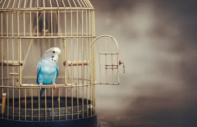 Illustration closures - Image 1