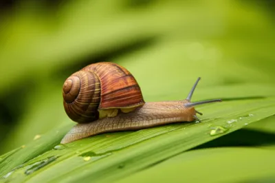 Illustration sparer - Image 1