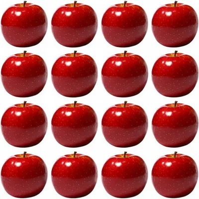 Illustration divisors - Image 1