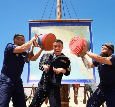 Illustration shellback - Image 1