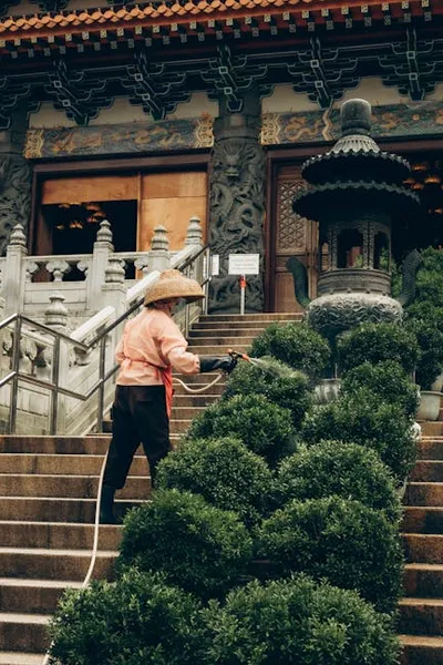 Illustration culturing - Image 2