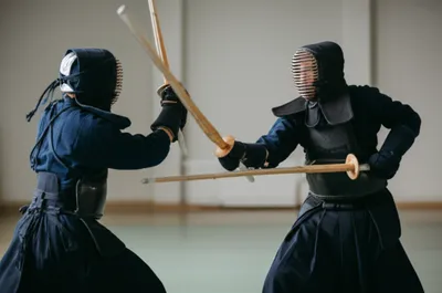 Illustration singlestick - Image 1