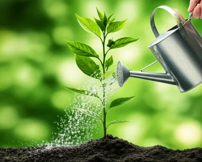 Illustration injection - Image 1