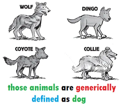 Illustration generically - Image 3