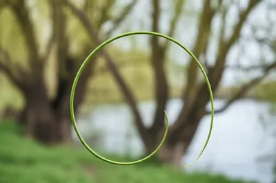 Illustration withy - Image 1