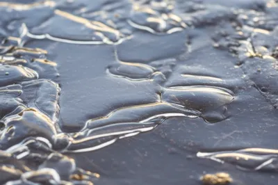 Illustration icing - Image 1