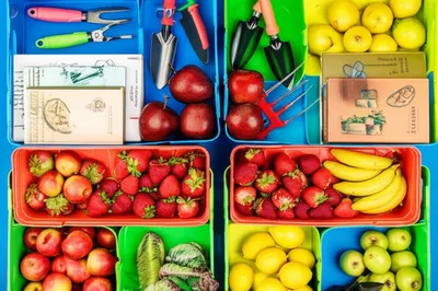 Illustration sorted - Image 1