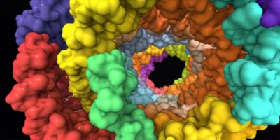 Illustration interfaces - Image 1