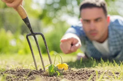 Illustration forked - Image 1