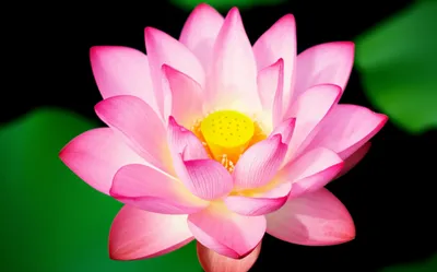 Illustration round - Image 1