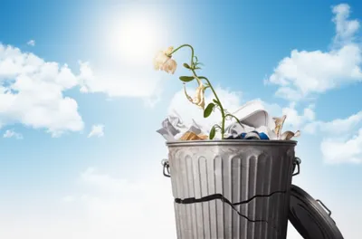 Illustration abuses - Image 1