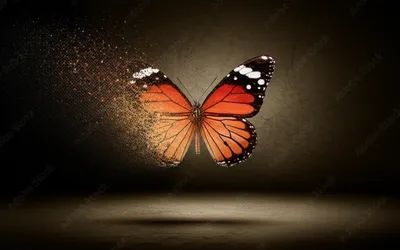 Illustration dying - Image 1