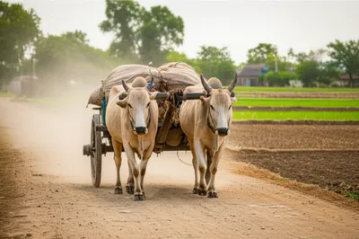 Illustration bandy - Image 1