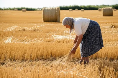 Illustration gleaned - Image 1