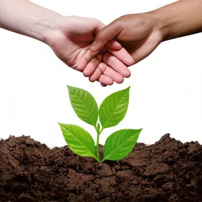 Illustration conciliation