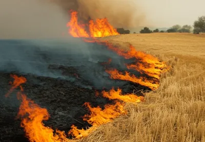 Illustration backfires - Image 1