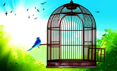 Illustration liberate - Image 1