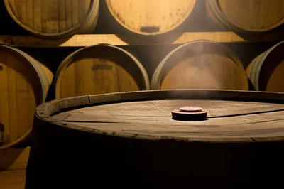 Illustration soleras - Image 1