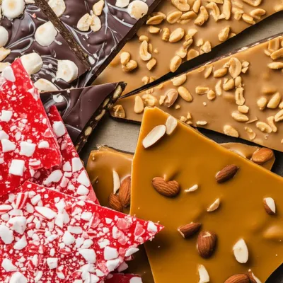 Illustration barks - Image 1