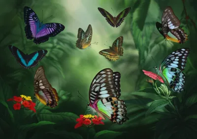 Illustration barons - Image 1