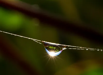 Illustration gleamed - Image 1