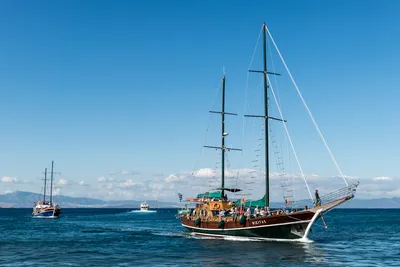 Illustration masts - Image 2