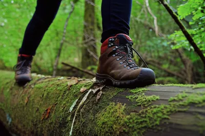 Illustration trod - Image 1