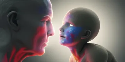 Illustration inspired - Image 1