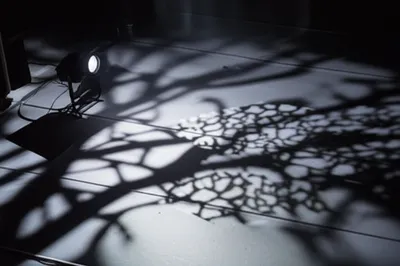 Illustration cookie - Image 1