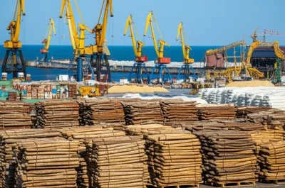 Illustration shocks - Image 1