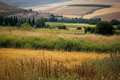 Illustration sabbaths - Image 1