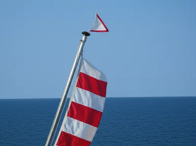 Illustration repeaters - Image 1