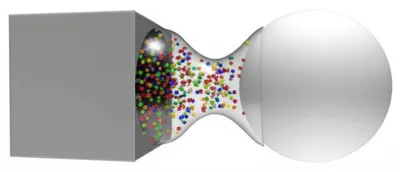 Illustration lax - Image 1