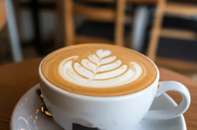 Illustration rosettes - Image 1