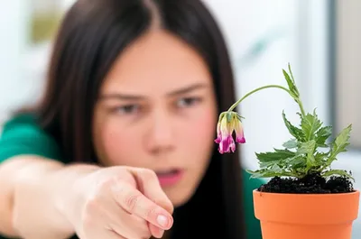 Illustration upbraided - Image 1